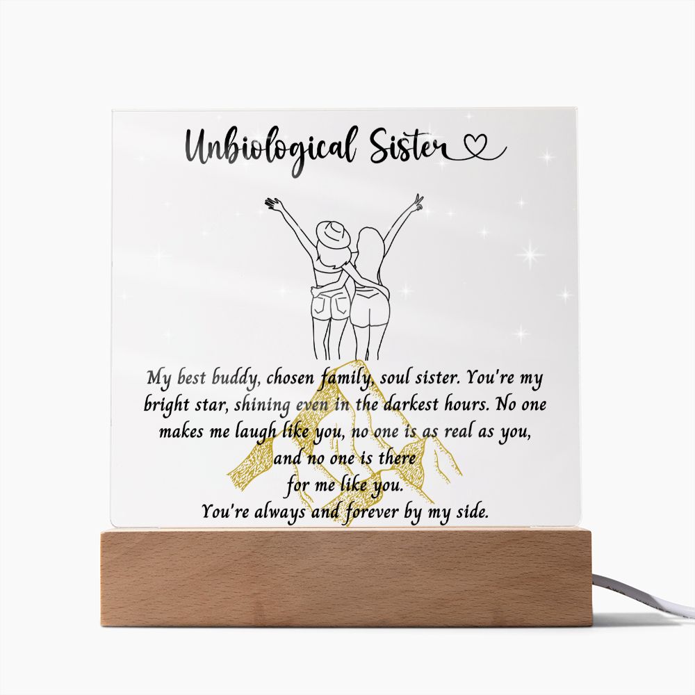 Best Friend Gift For Her | Birthday Ideas for Women | Unbiological Sister Gift | Two Friend Friendship Present | Long Distance Friendship Gift